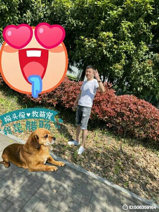 我若不坚强谁替我勇敢的第一张照片--肥西残疾人相亲网